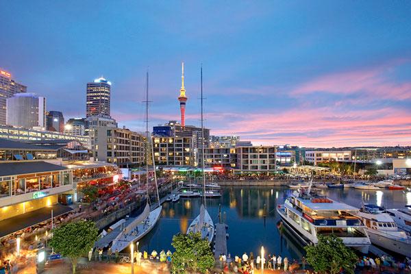 Child and Adolescent Psychiatrist AR-067 New Zealand 