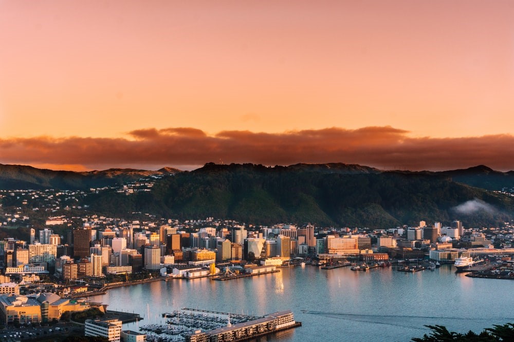 Consultant and Specialist Psychiatrists – Wellington, New Zealand – AR-161 – Inpatient Outpatient Crisis Forensic Adults Child and Adolescent 
